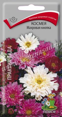 Космея Махровая кнопка (ЦВ) («1) 0,1гр.