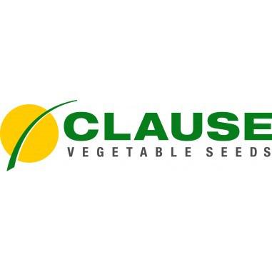 Clause Vegetable Seeds