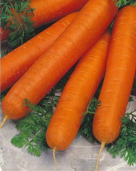 Морковь Ромоса (пак.500гр)