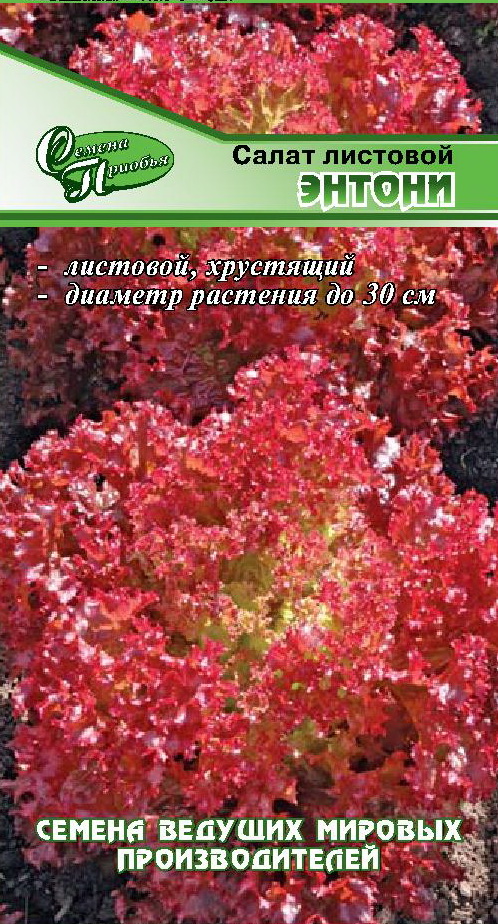 Салат Энтони (лист. красный) ф.п.10драже