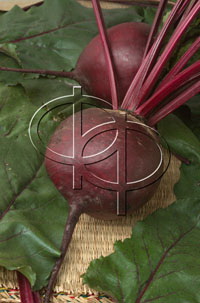 Свекла Бохан F1 (пак.50 000) фр. 3,00-3,50 Свекла Бохан F1 (пак.50 000) фр. 3,00-3,50