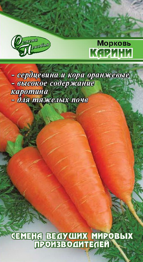 Морковь Карини ф.п.1г