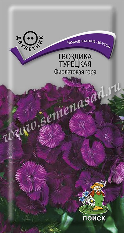Гвоздика Фиолетовая гора (бородатая) турецкая (ЦВ) («2) 0,25гр.