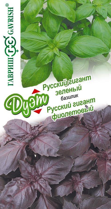 Базилик Русский гигант, зеленый 0,1 г+Русский гигант, фиолетовый 0,1 г серия Дуэт Н21