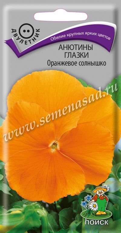 Виола Оранжевое солнышко (ЦВ) («2) 0,2гр.