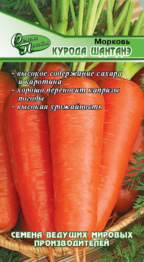 Морковь Курода Шантанэ ф.п.1г
