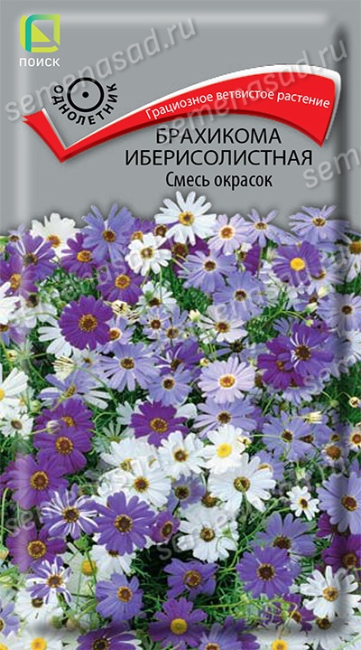 Брахикома Смесь окрасок иберисолистная (ЦВ) («1) 0,03гр. Брахикома Смесь окрасок иберисолистная (ЦВ) («1) 0,03гр.