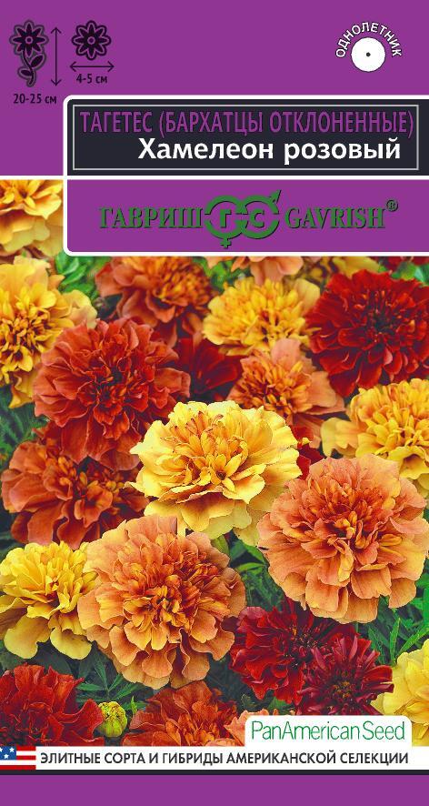 Бархатцы Хамелеон розовый (Тагетес)* 5 шт. откл. серия Эксклюзив