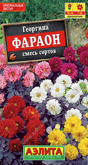Георгина Фараон, смесь сортов ф.п.0,3г Георгина Фараон, смесь сортов ф.п.0,3г