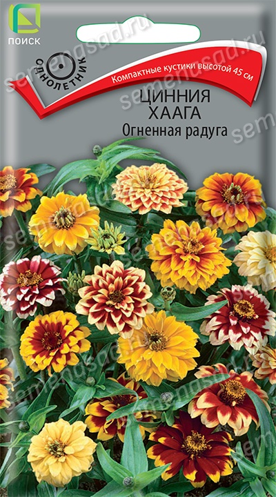 Цинния Хаага Огненная радуга (ЦВ) («1) 0,3гр. Цинния Хаага Огненная радуга (ЦВ) («1) 0,3гр.