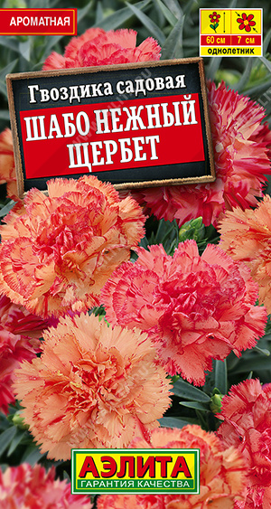 Гвоздика Шабо Нежный щербет ф.п.0,05г Гвоздика Шабо Нежный щербет ф.п.0,05г