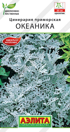 Цинерария Океаника ф.п.0,05г Цинерария Океаника ф.п.0,05г