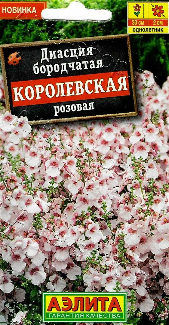 Диасция Королевская розовая ф.п.20шт Диасция Королевская розовая ф.п.20шт