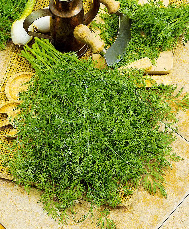 Укроп Голдкрон пак. 250000шт