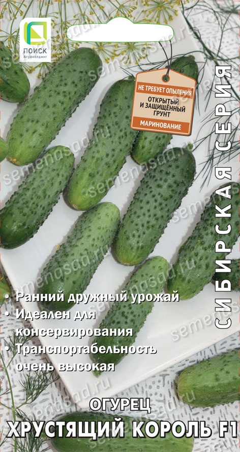 Огурец Хрустящий король F1 (сиб.серия) (А) (ЦВ) 12шт. Огурец Хрустящий король F1 (сиб.серия) (А) (ЦВ) 12шт.