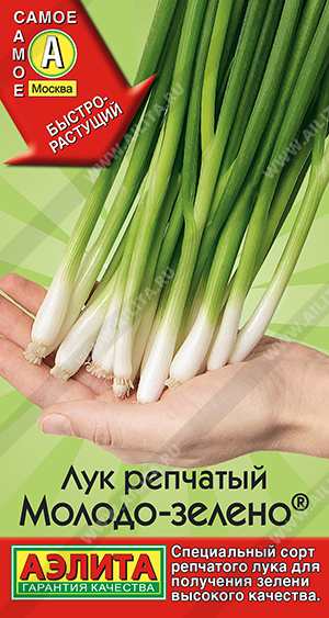 Лук репчатый Молодо-зелено ф.п.0,5г