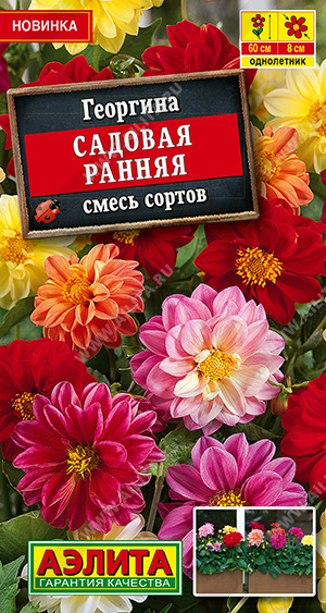 Георгина Садовая ранняя, смесь сортов ф.п.0,3г