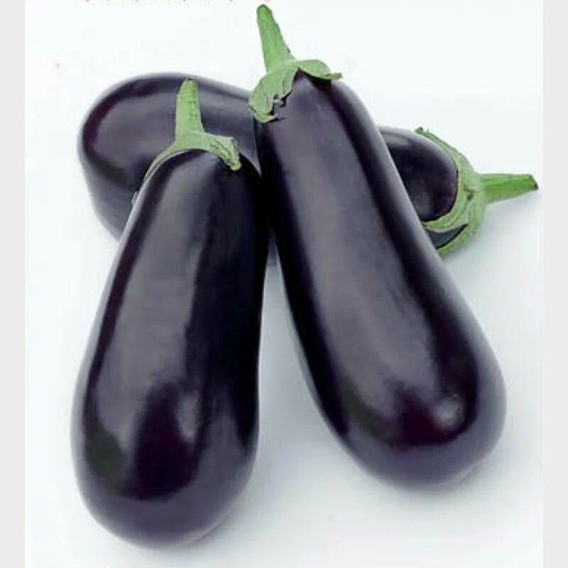 Баклажан Рома F1 (пак.1000шт)