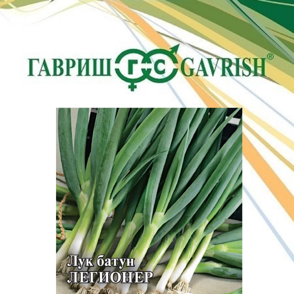 Лук батун Легионер, 1кг